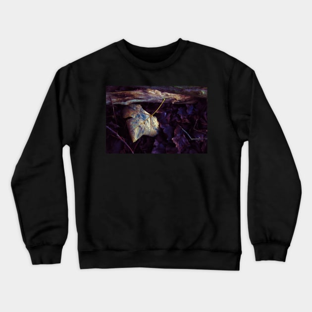 Dance in the Rain Crewneck Sweatshirt by InspiraImage